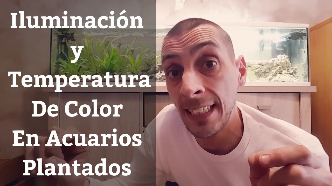 🔵 Temperatura De Color Y Kelvins Necesarios Para Nuestro Acuario Plantado (Acuarios MB)