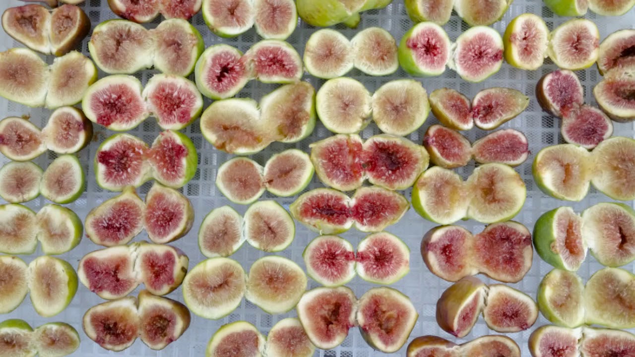 Essiccazione frutta e verdura: prima e dopo
