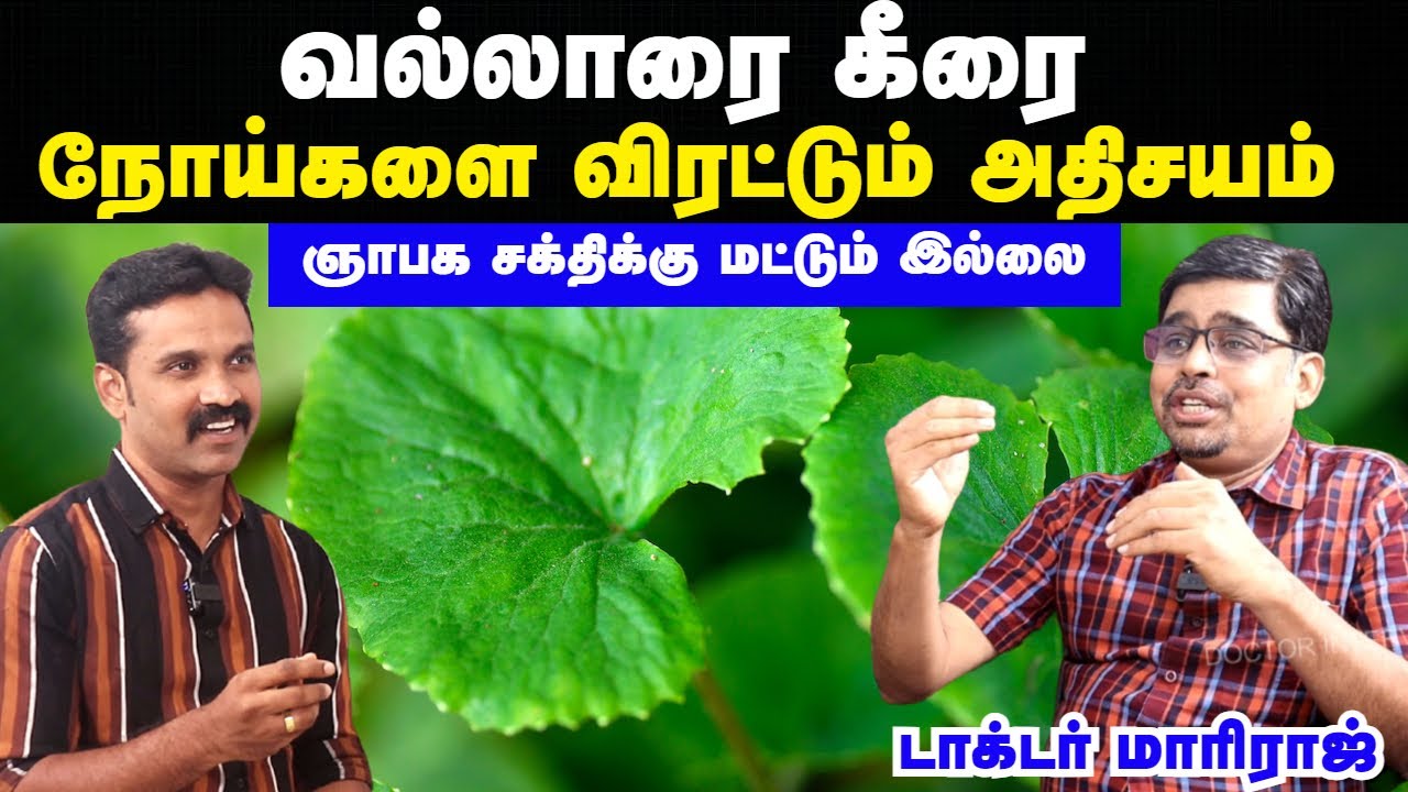 வல்லாரை கீரையின் மருத்துவ பயன்கள் | Vallarai keerai benefits in tamil | Doctor interview tamil