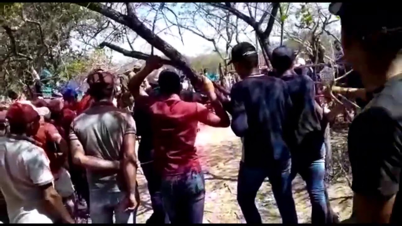 Toada vaqueiro caita cantada por Alon zoa e ary