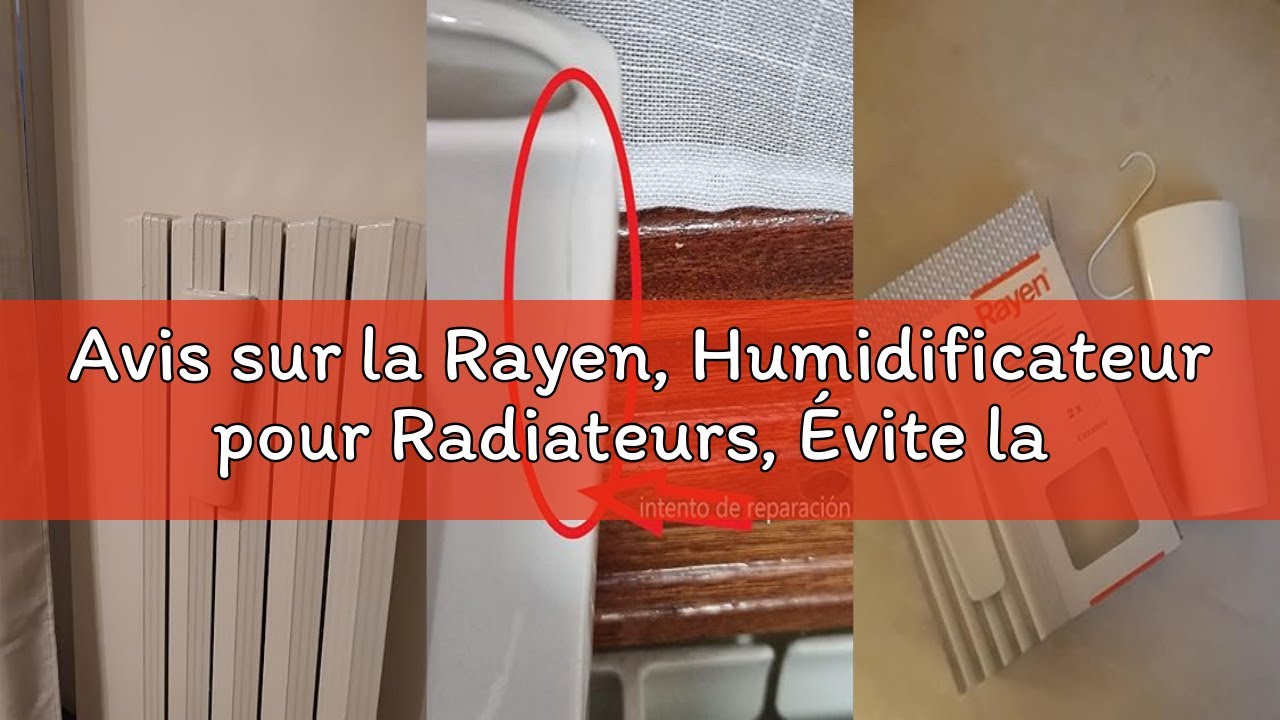 Avis sur la Rayen, Humidificateur pour Radiateurs, Évite la Sécheresse de l'Air Ambiant, Contient 2