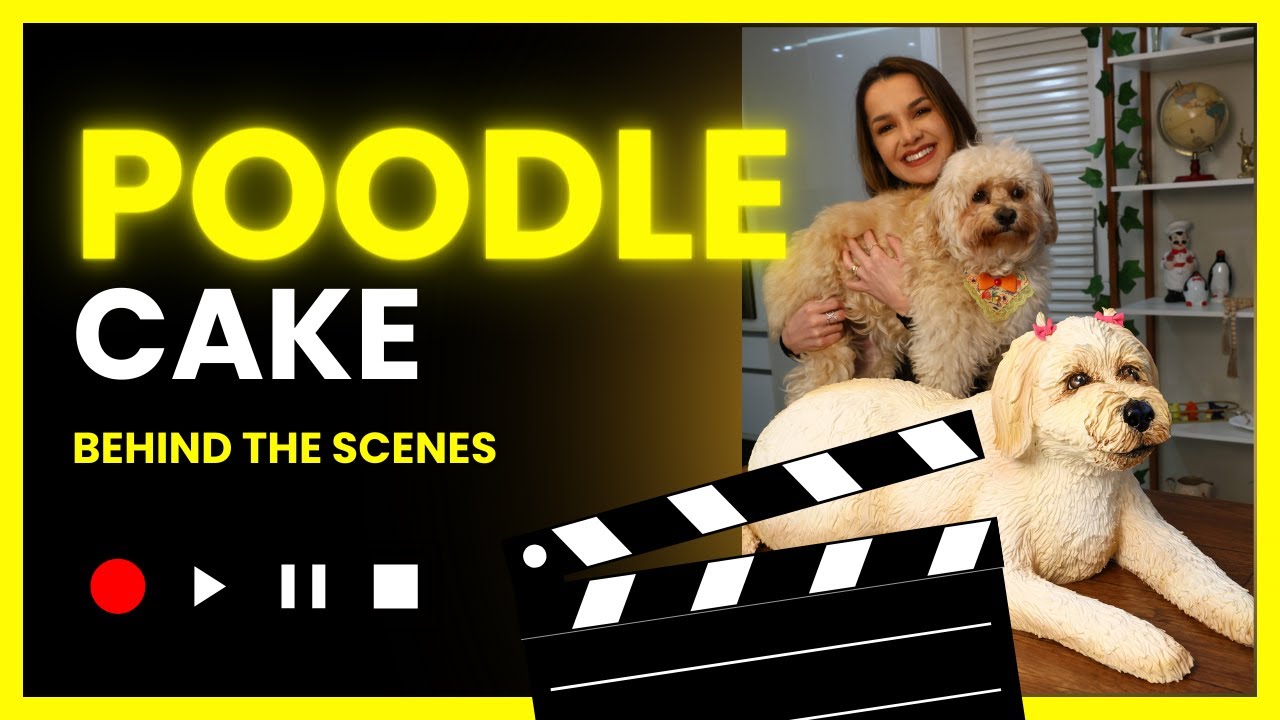 Bolo de Poodle