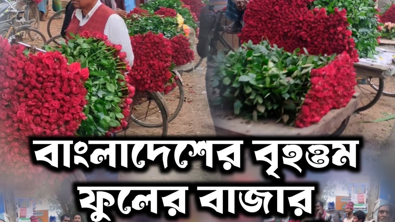 বাংলাদেশের বৃহত্তম ফুলের বাজার | যশোর গদখালি ফুলের বাজার | The biggest Flower market in Bangladesh