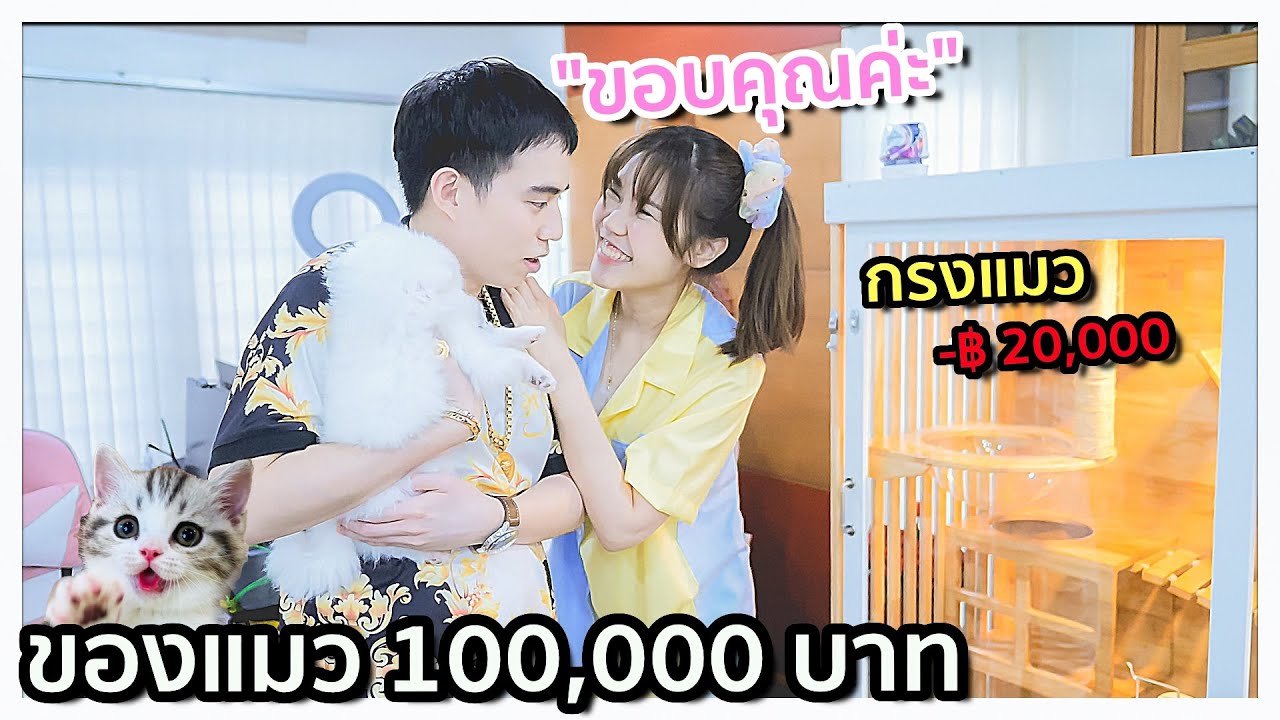 หมางอนเพราะ ซื้อของให้แมว 100,000 บาท!! (เซอร์ไพรส์วันเกิดแฟน) 🐱💶