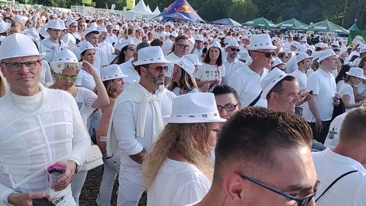 Just White - Alle Farben (Friedberg 2024)