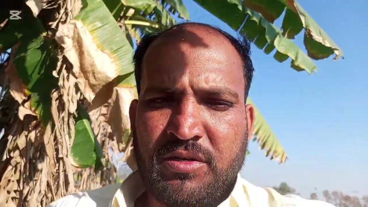 بارات میں جھومر