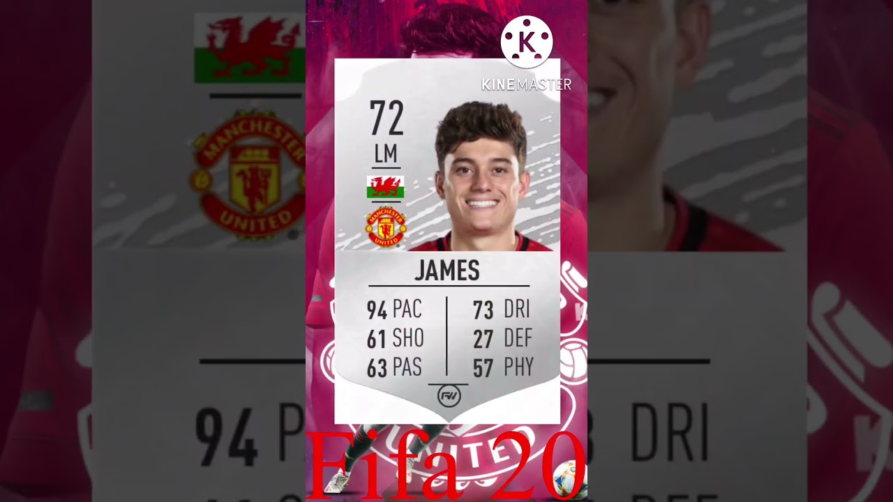Daniel James through fifa