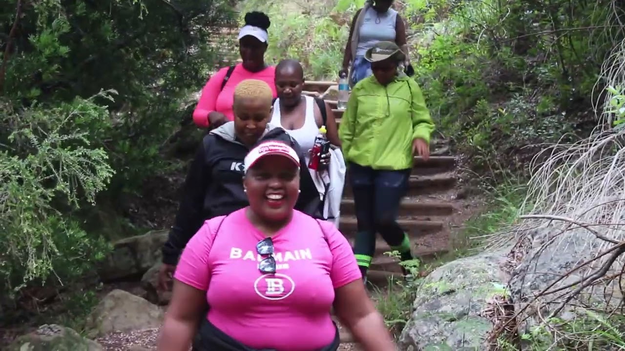 Cecilia Forest Hike