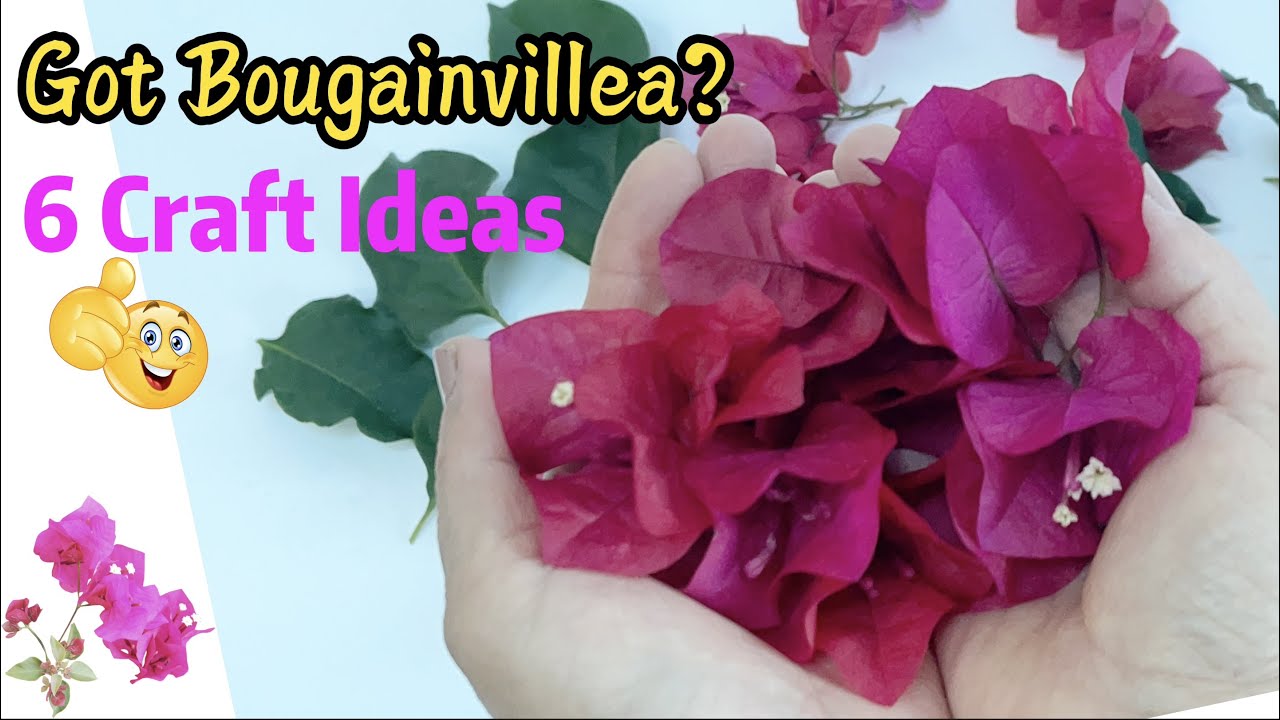 6 Christmas Craft IDEAS with Flowers, Leaves ♻ RECYCLING |Home Decor