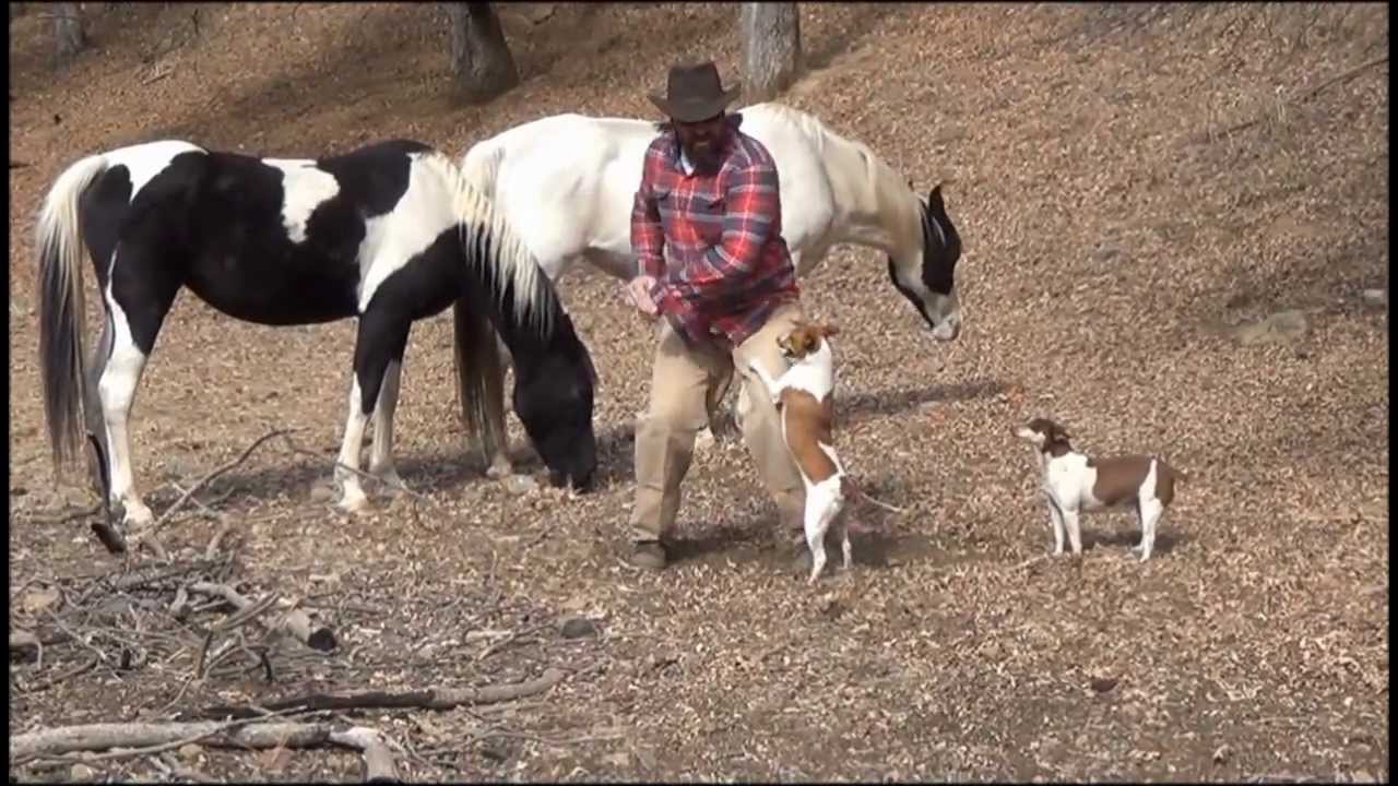Dancing with Horses and Writing Books for Kids. (John Griffith)