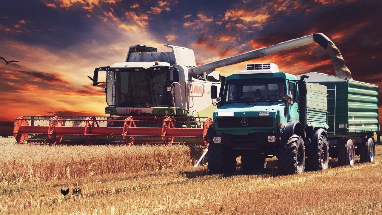 » Hafer dreschen & Stoppelsturz║Claas, Unimog, Massey Ferguson, Fendt║Lohnunternehmen Hindemith «