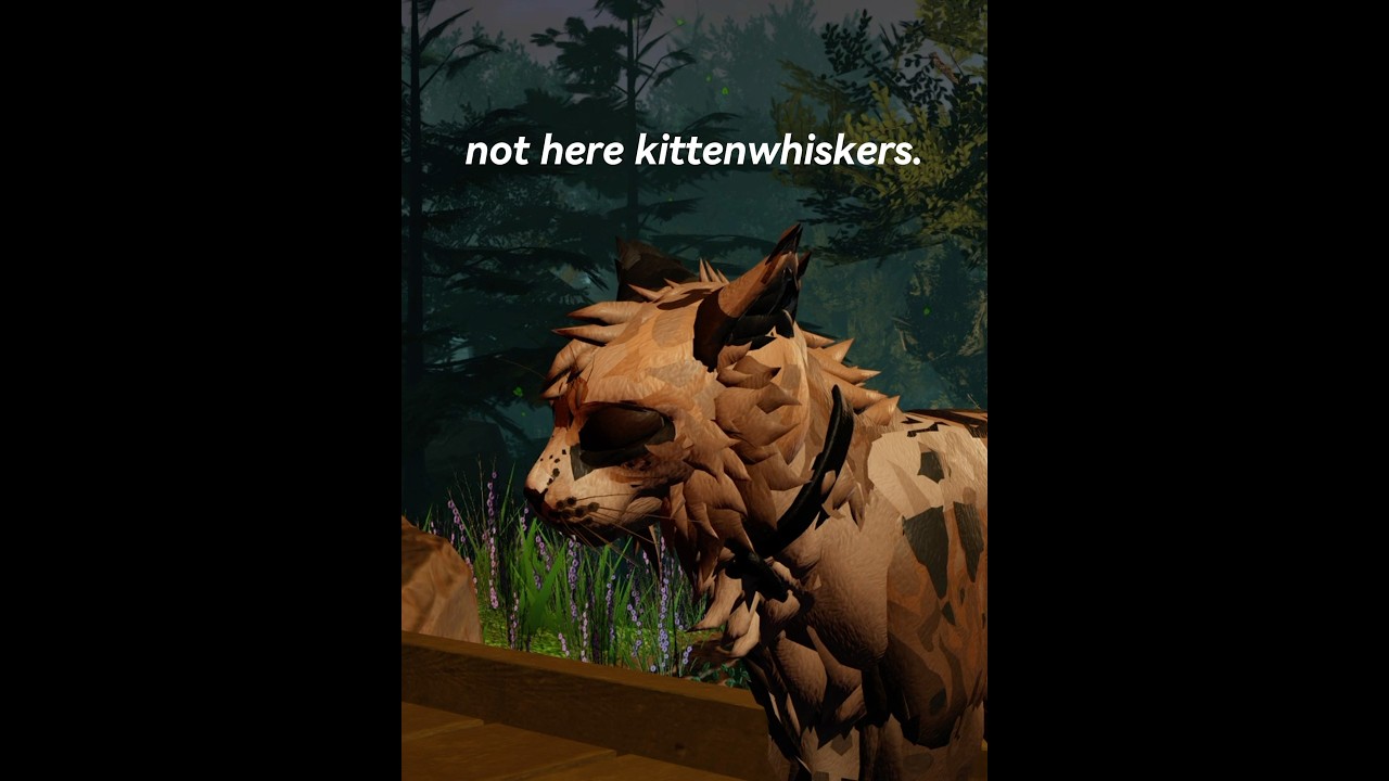 not here kittenwhiskers