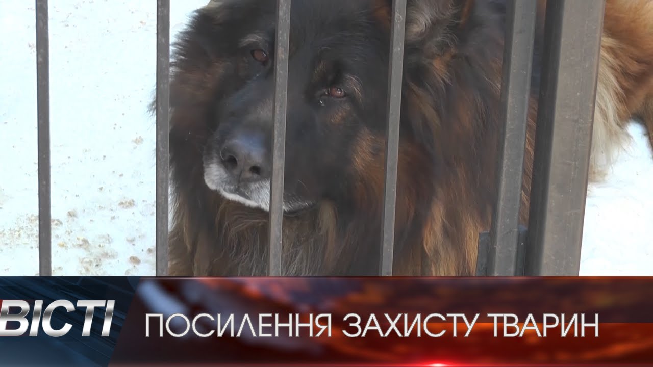 Посилення захисту тварин