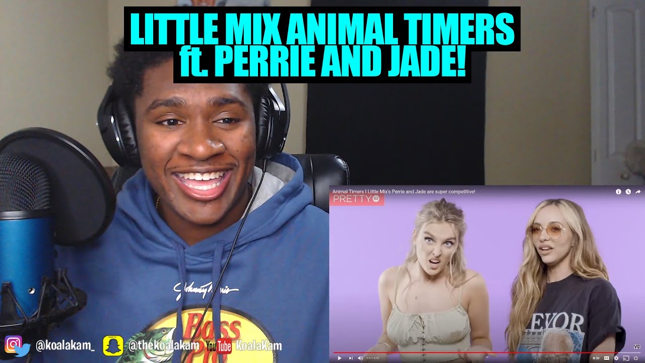 Reacting To Animal Timers | Little Mix's Perrie and Jade are super competitive!