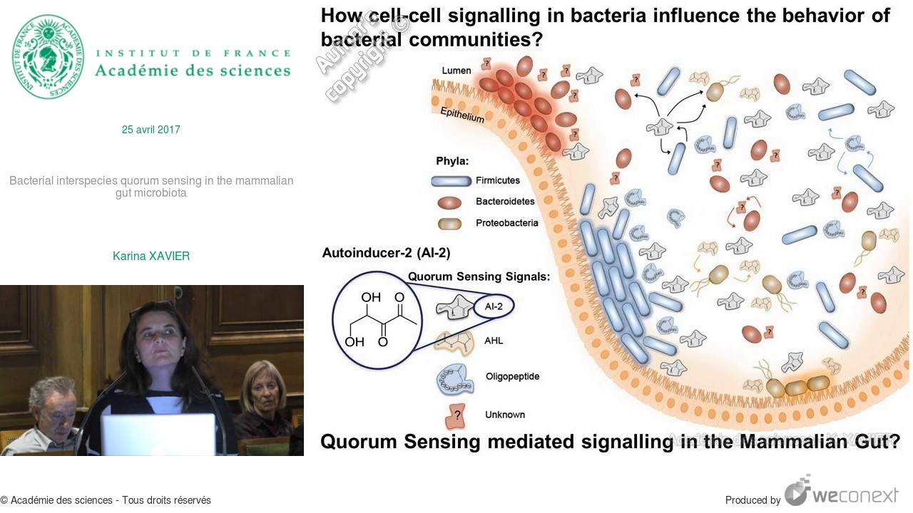 [Conférence] K. XAVIER - Bacterial interspecies quorum sensing in the mammalian gut microbiota