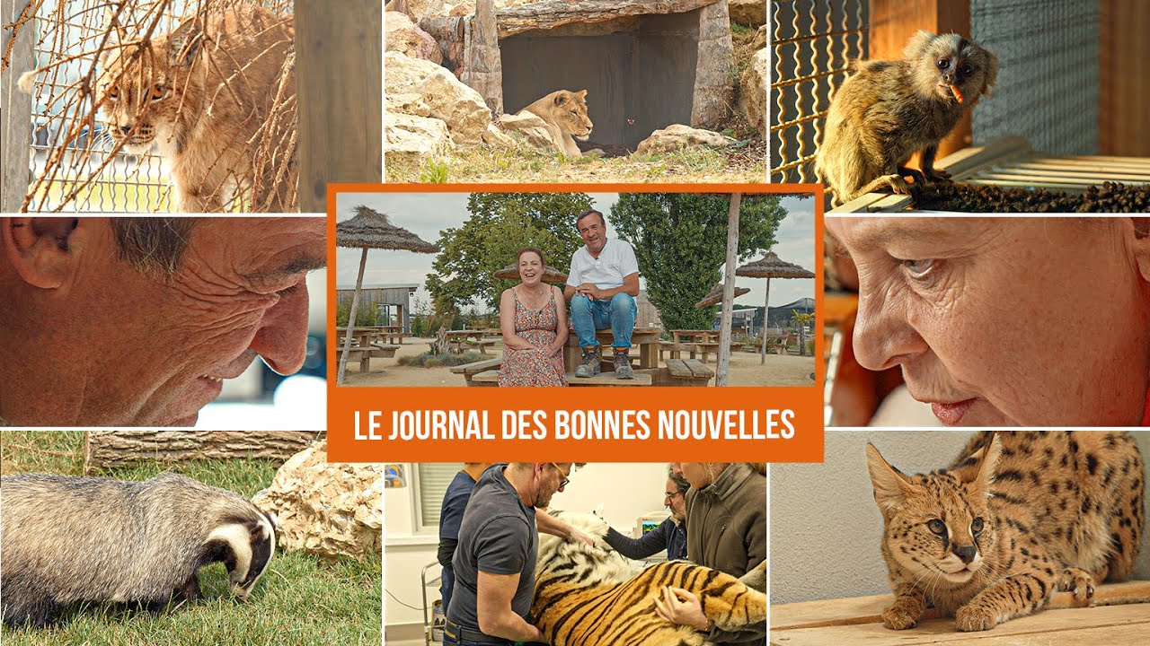 Le journal des bonnes nouvelles ! 🌟