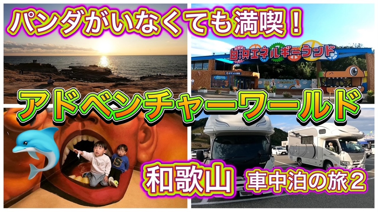孫も喜ぶ最新イルカショー😄和歌山無料！車中泊スポット🙌