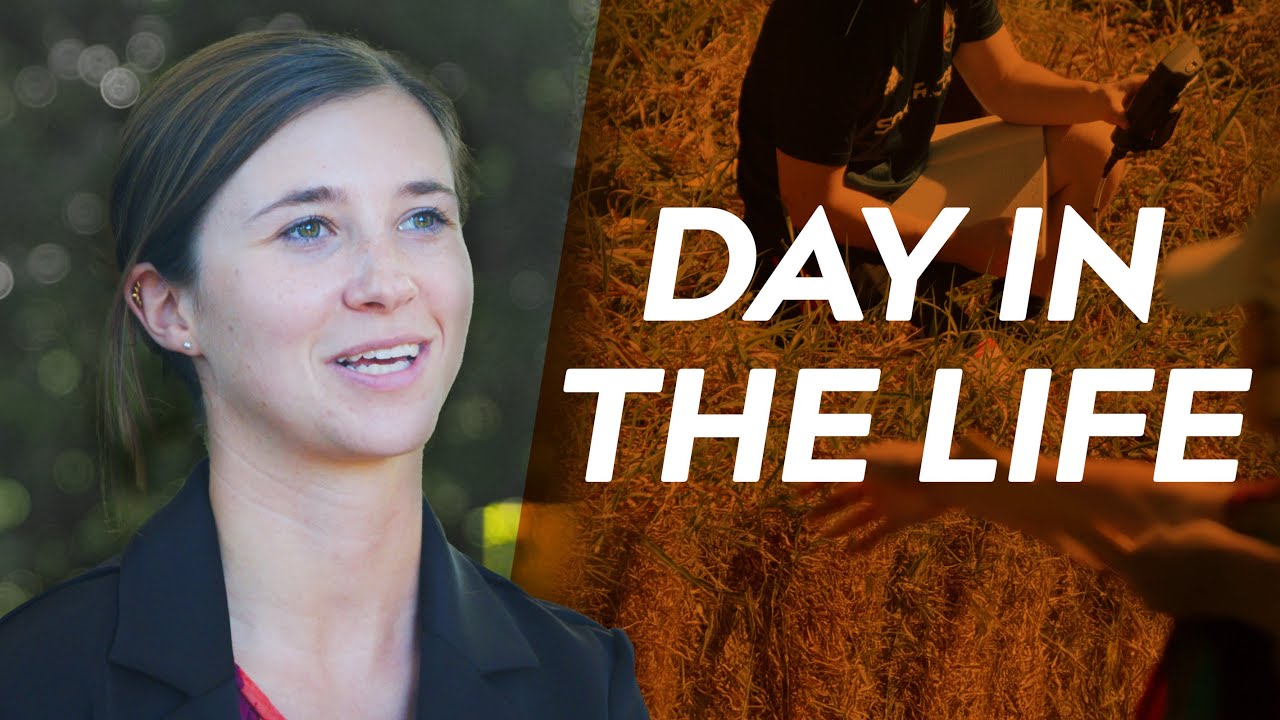 Biological systems engineering: A day in the life