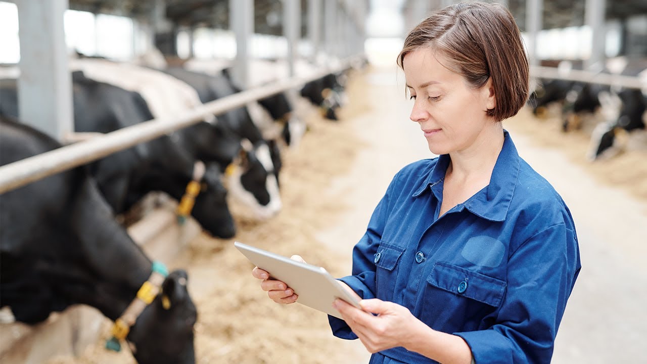 ClearFarm: Co-designed welfare monitoring platform for pig and dairy cattle