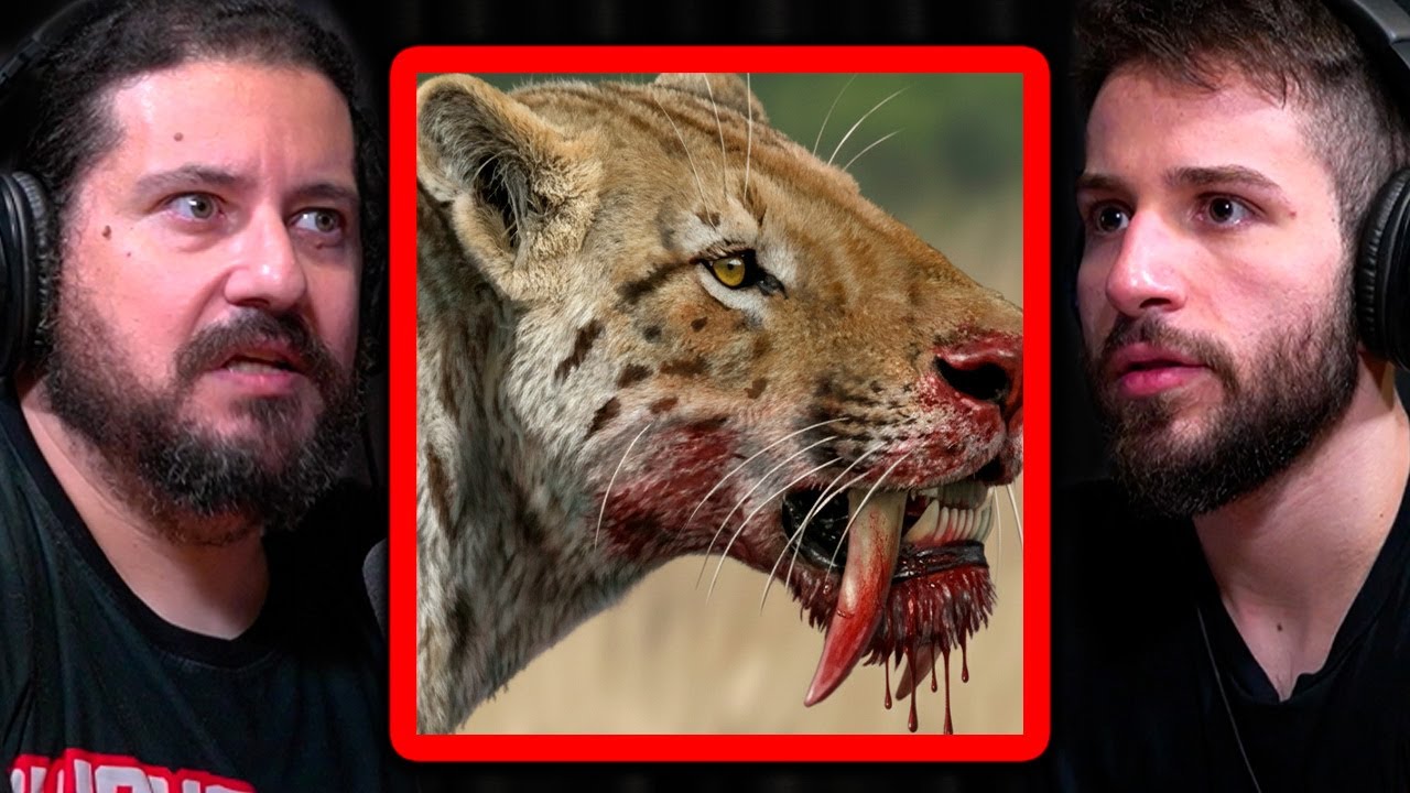 BIÓLOGO EXPLICA A GENÉTICA BRUTAL DO TIGRE DENTE DE SABRE | Cauê Santos Podcast