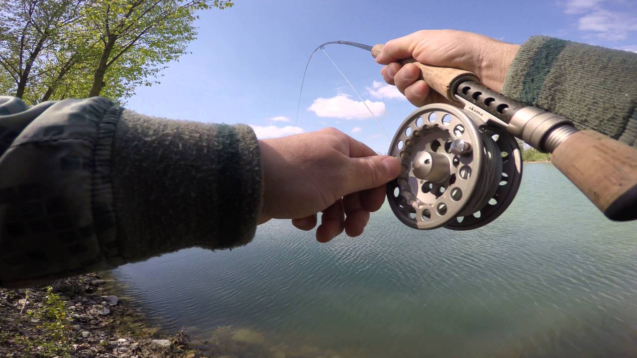 Pesca a mosca con streamer