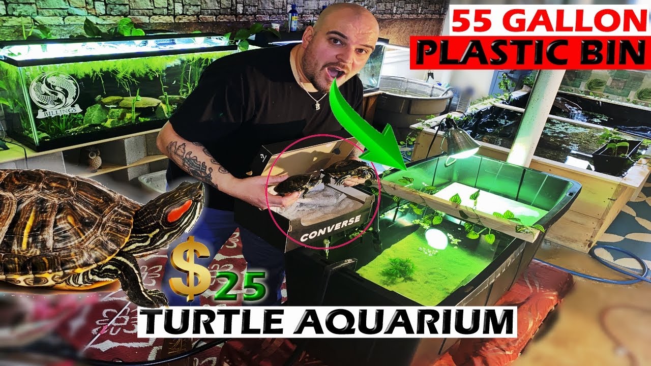 $25 PLASTIC BIN TURTLE AQUARIUM FOR NEGLECTED TURTLES (55 GALLONS)