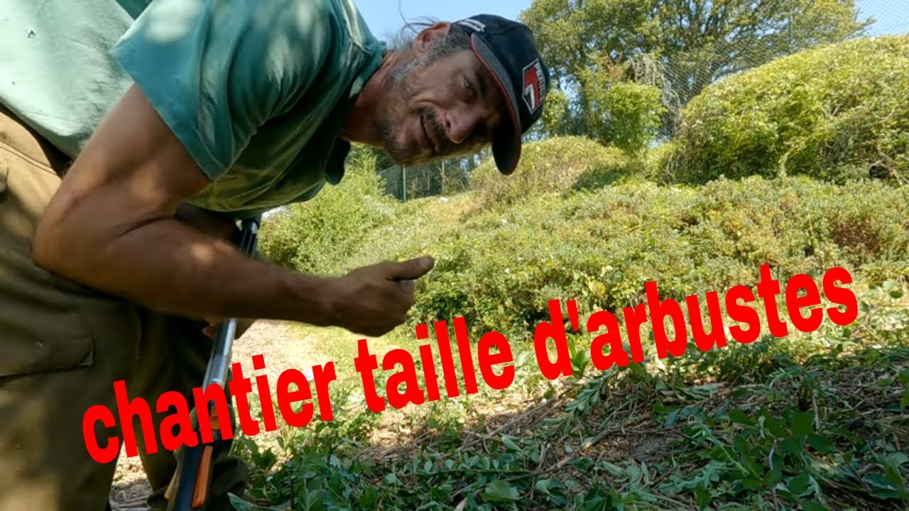 Tev espace vert: Chantier de taille d'arbuste par grosse chaleur !
