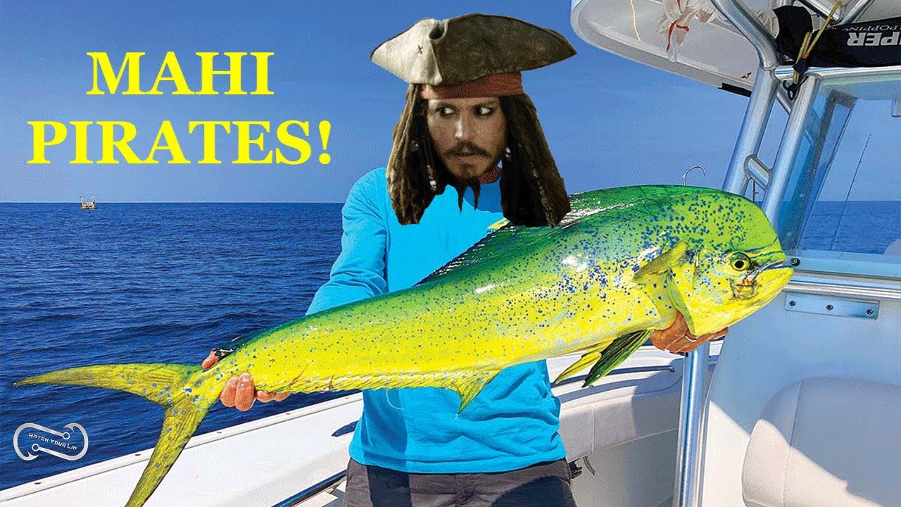 Доброе утро, пираты!