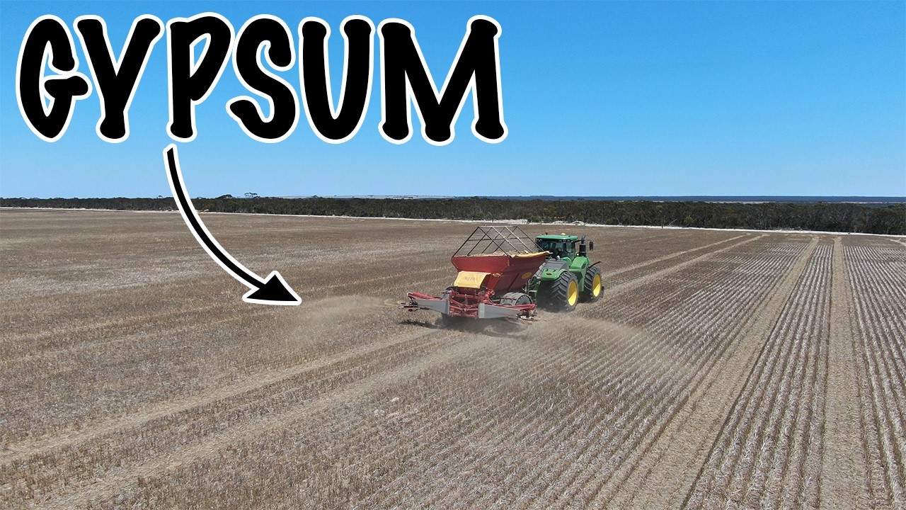 Time to spread some gypsum!