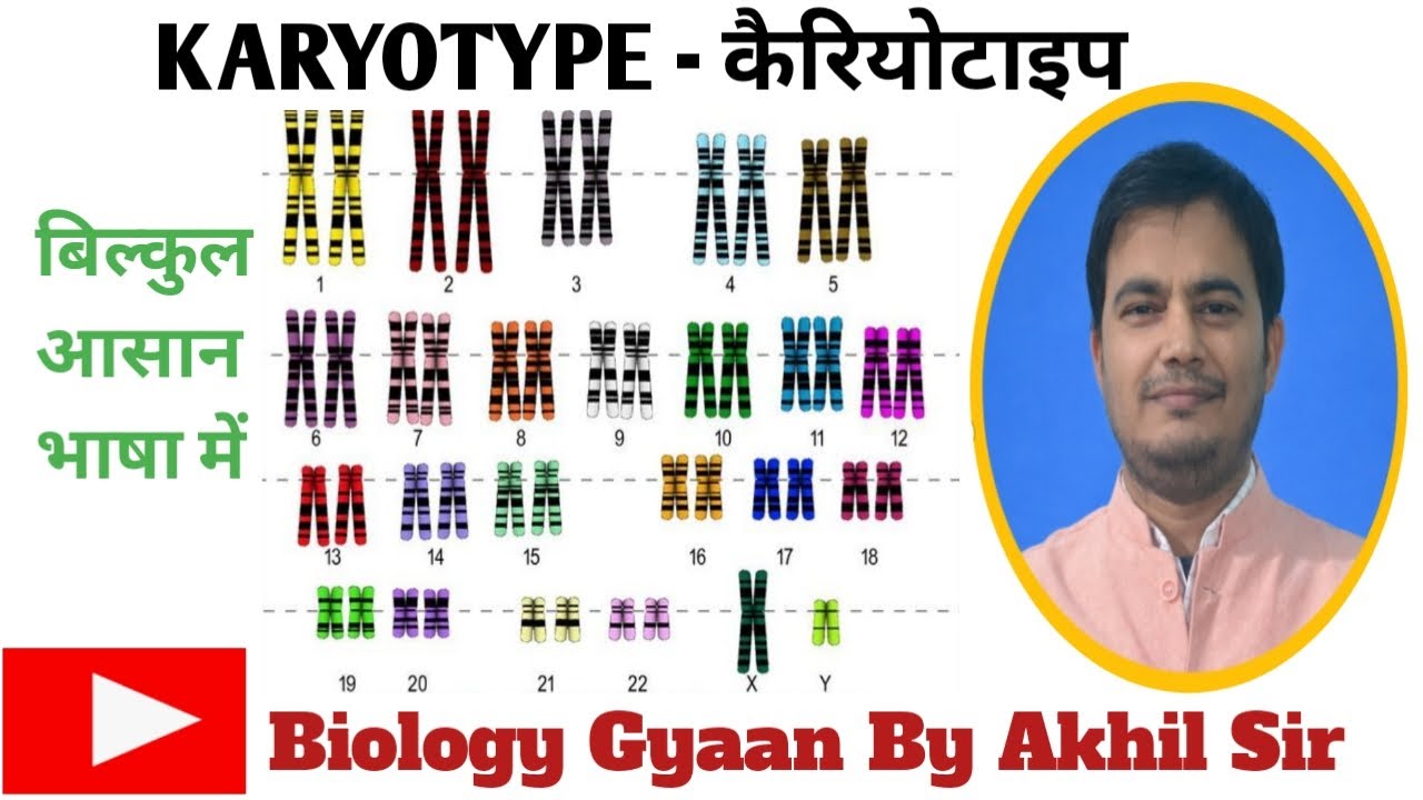  KARYOTYPE, कैरियोटाइप
