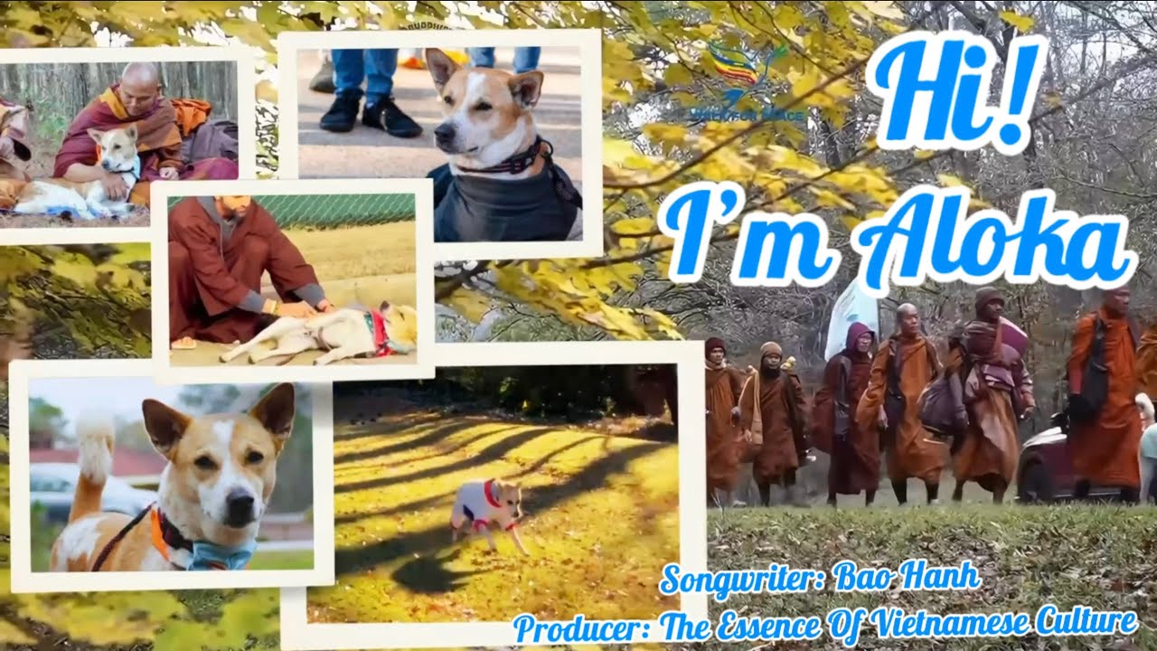 A Song For Walk For Peace -  Hi! I&rsquo;m Aloka