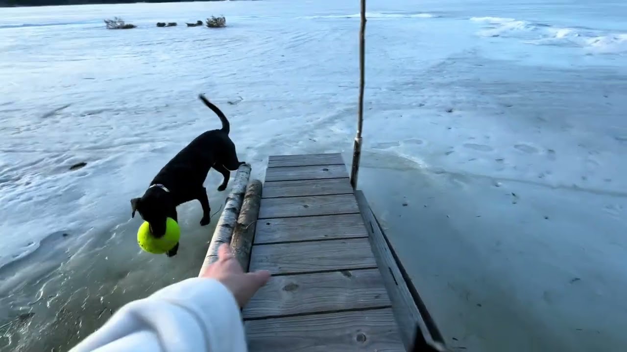 Mr. Bean Ball is Life on the Water 
