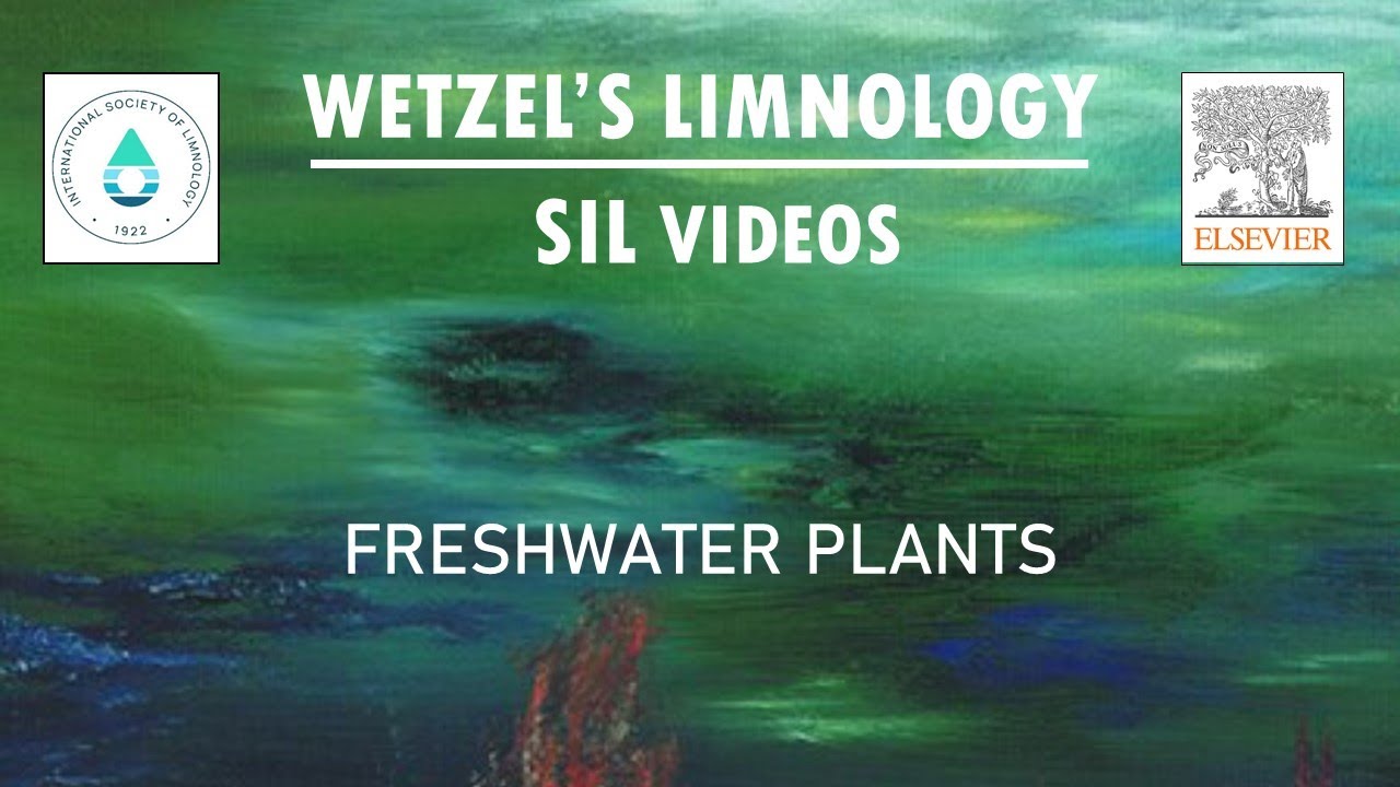 Freshwater Plants - Wetzel's Limnology SIL Videos
