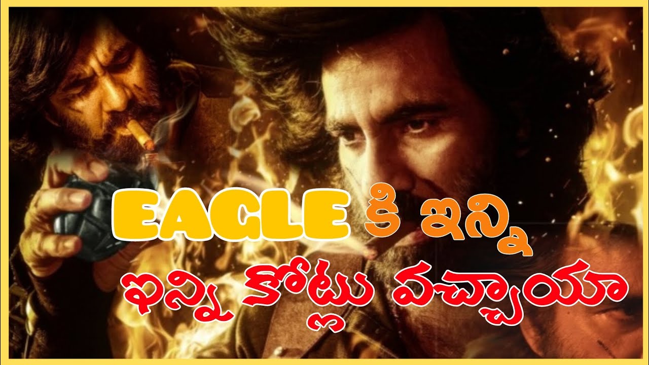 EAGLE MOVIE TOTAL COLLECTIONS//EAGLE COLLECTIONS//EAGLE #raviteja #eagle #viral #viralvideo #movie