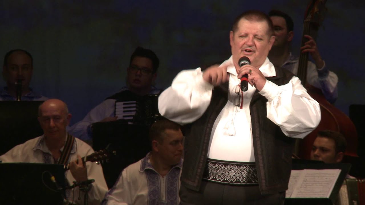 Petrică Moise și Orchestra Ansamblul Timișul - Bănățănu-i om curat LIVE