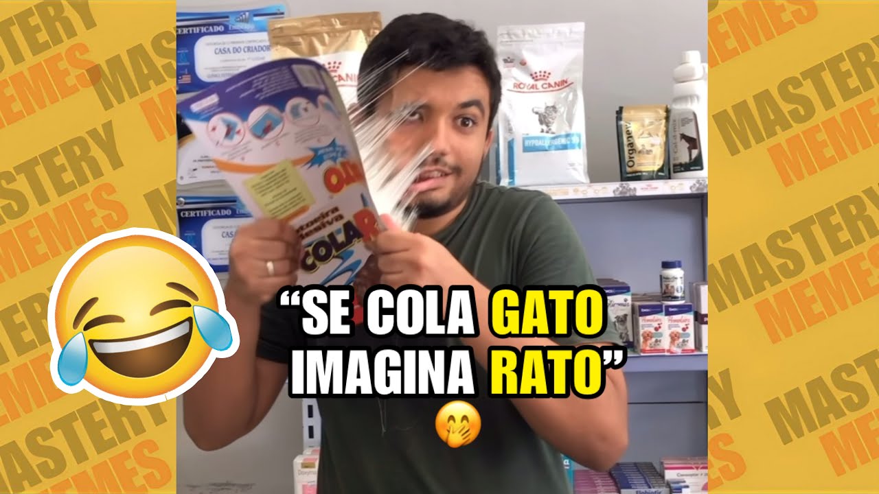 OS MELHORES MEMES DA INTERNET | TENTE N&Atilde;O RIR #15