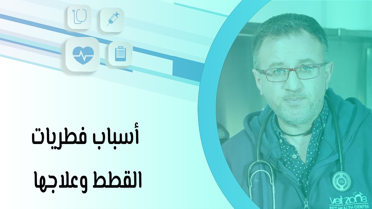 أسباب فطريات القطط وعلاجها