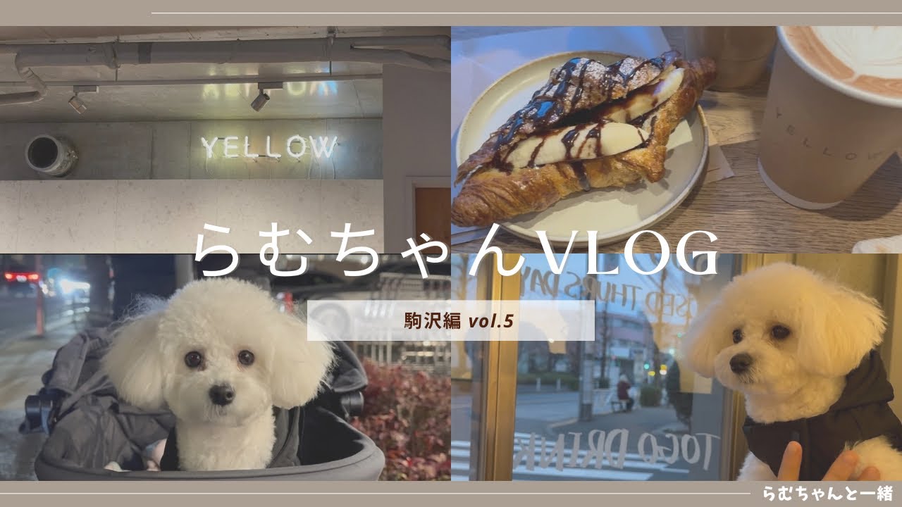 らむちゃんと駒沢お散歩してきました🥐🐾