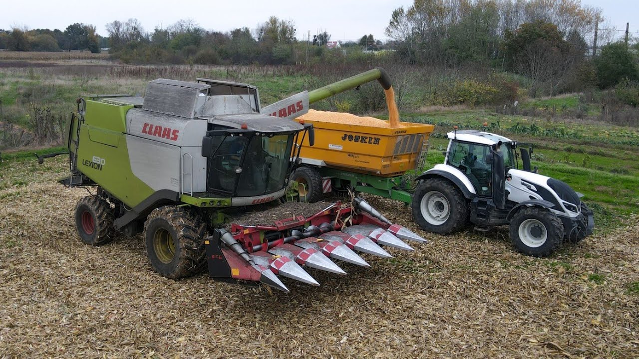 MOISSON DE MAÏS DANS LE MACONNAIS // LEXION 630 & 2 VALTRA //