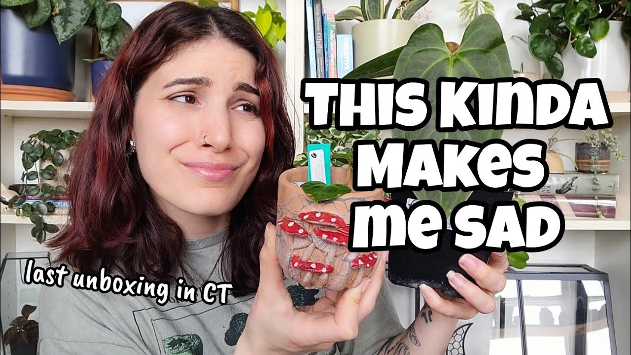 LAST UNBOXING! 🥲 Anthurium Plant Mail 🌿 final video in the CT apartment