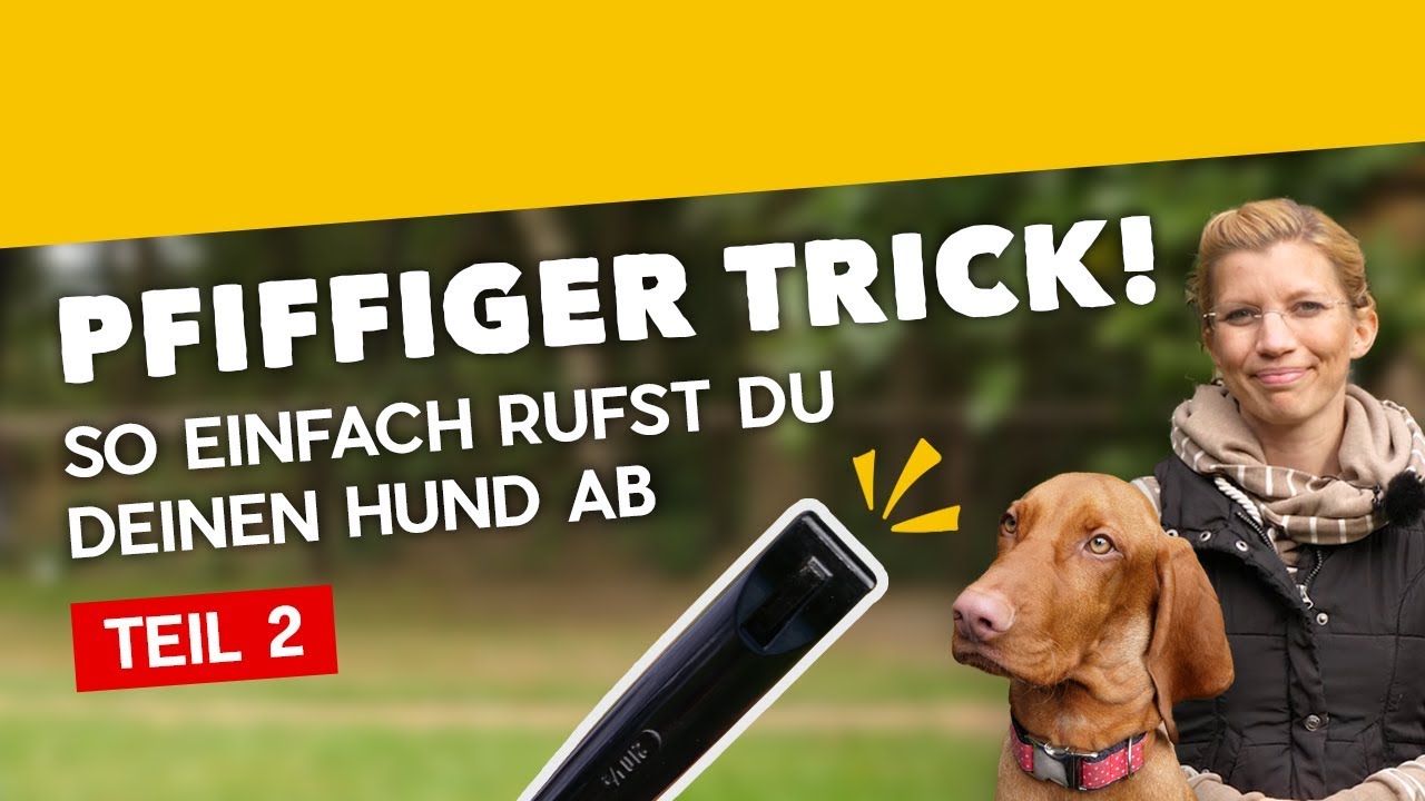 Abruf mit Hundepfeife Teil 2: Wie konditioniere ich meinen Hund auf die Pfeife [Training #19] (2020)