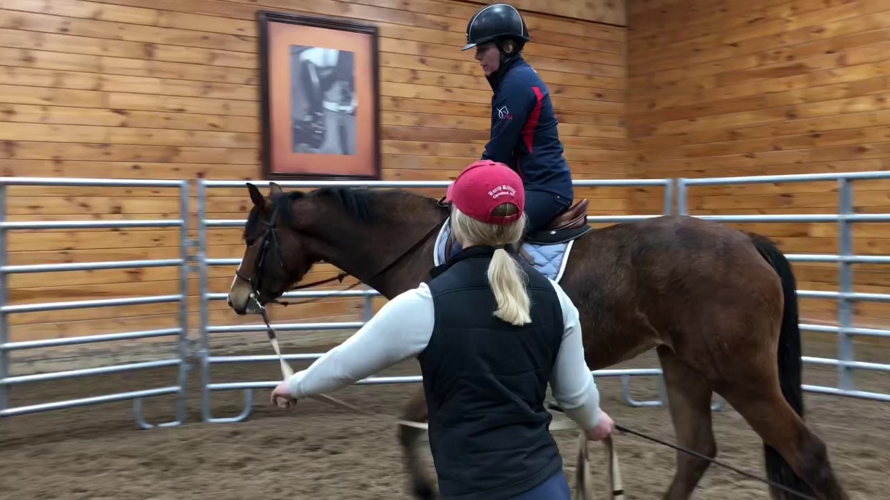 Walk Trot Under Saddle for the 1st time