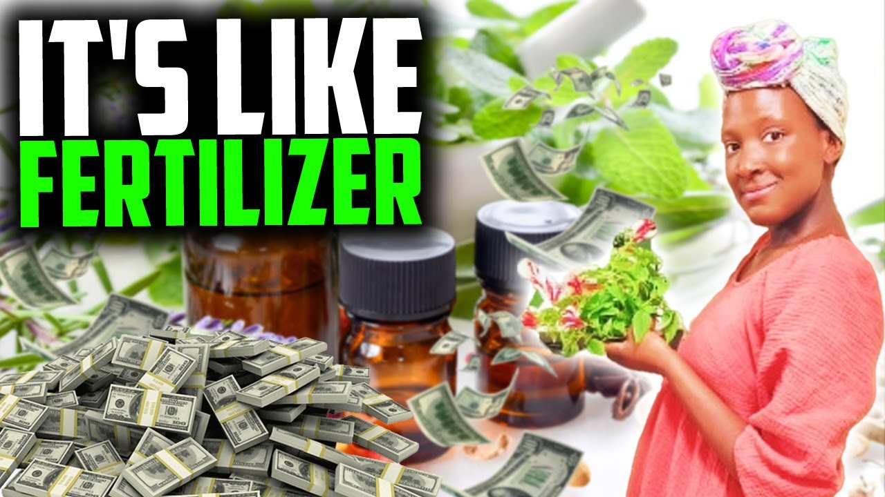 Herbal Business Ideas: Best Ways to Get Started in the Holistic Health Industry.