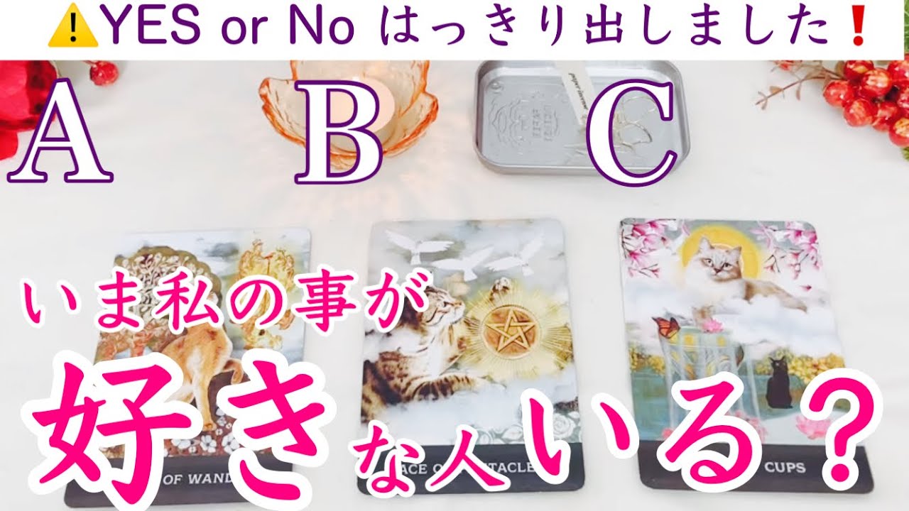 【YES or Noハッキリ❗️】今私の事が好きな人いますか？恋愛、恋愛占い、タロット占い