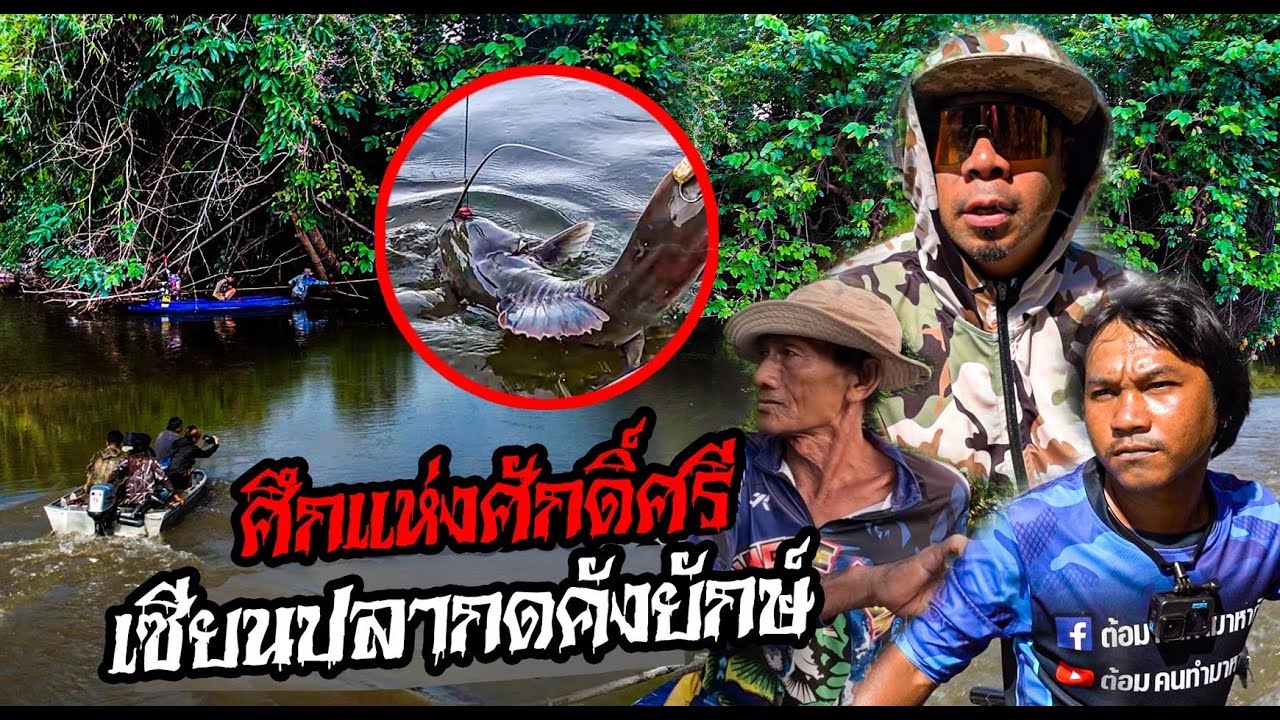 ศึกแห่งศักดิ์ศรี 2 เซียนปลากดคังยักษ์ ผู้ชนะตัวจริงคือใคร?!