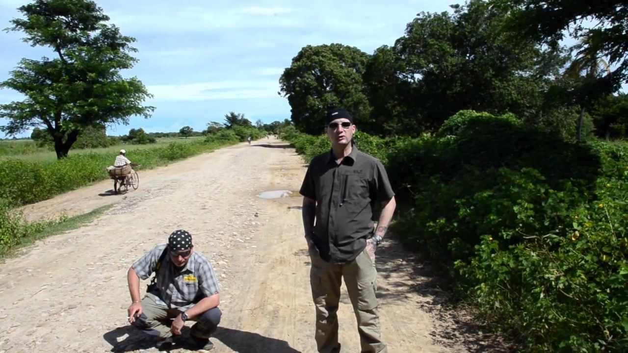 Die Pantherchamäleons von Ambilobe & Sirama...