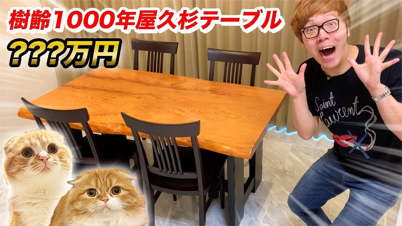 【お値段◯◯◯万円!?】樹齢1000年の屋久杉1枚板テーブルにまるお&もふこ大喜びwww【新居・家具】