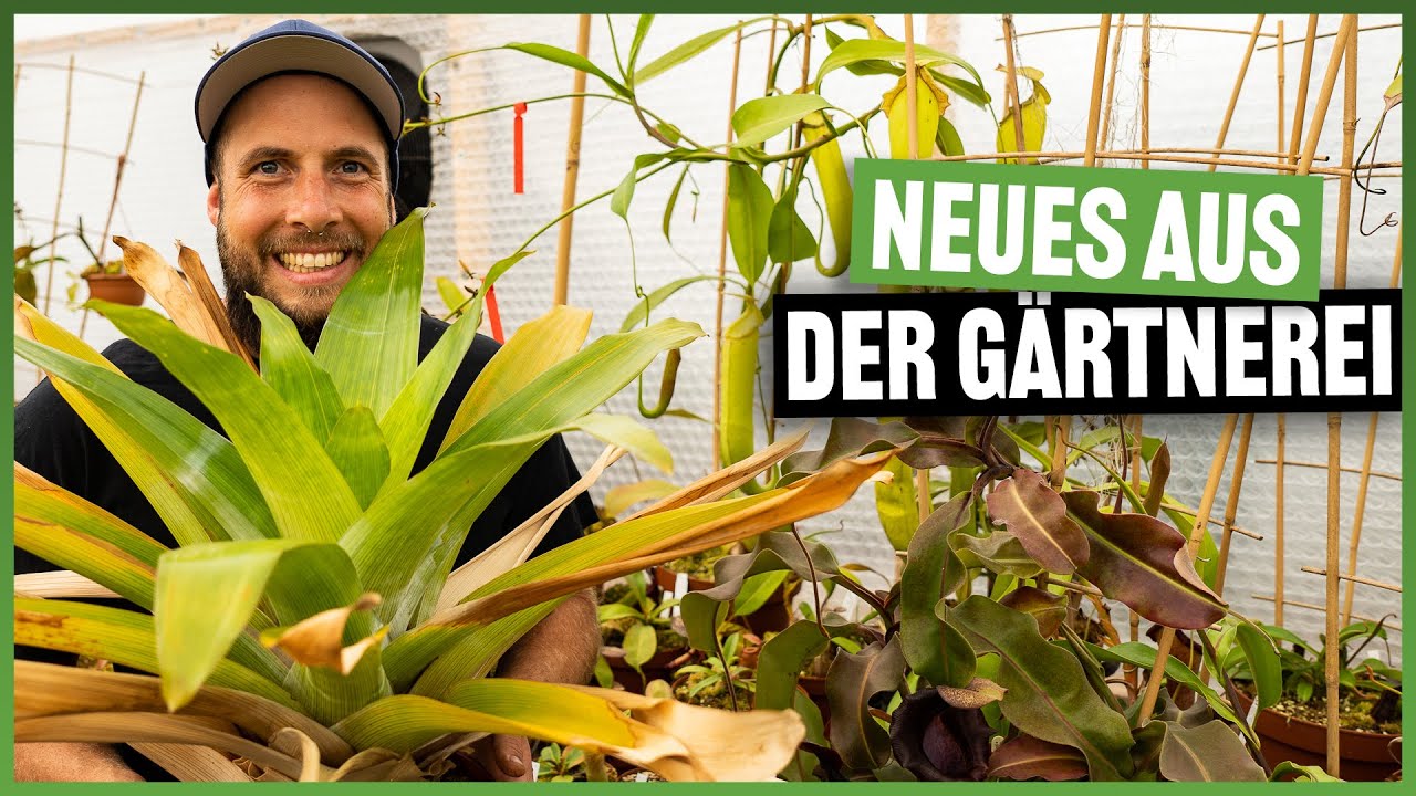 #150 Gewächshausrundgang im September 2021