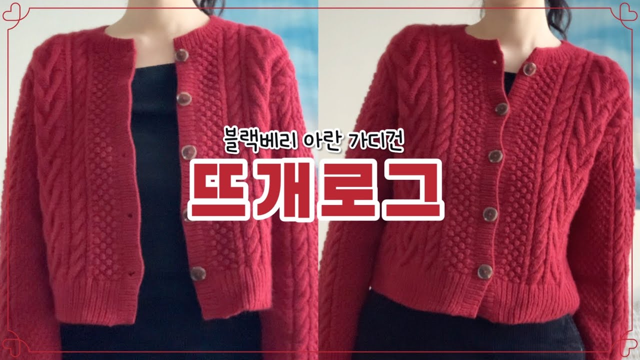 울지말고 천천히 바느질 해봐.. 첫 아란무늬 도전기 | 블랙베리 아란 가디건 | Blackberry Aran Cardigan | knitting vlog