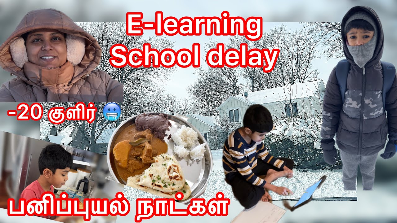 DIML-31 Americaல பனிப்புயல் No School E-learning Day in My Life/Tamil Family Lifestyle in America